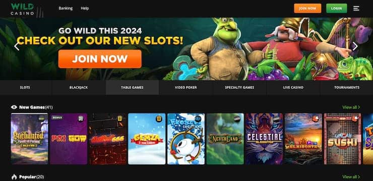 Wild Casino homepage - the best offshore casinos