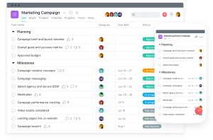 Asana Project Management Tool