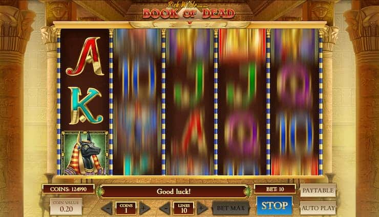 Book of Dead BTC slot