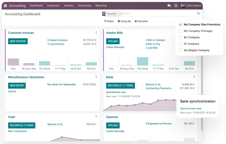 Odoo accounting software interface