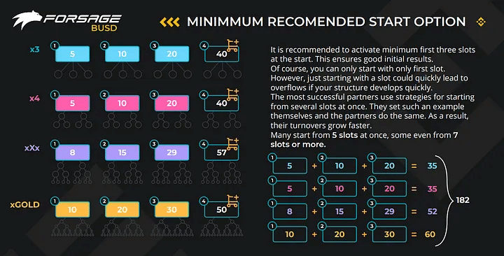 Forsage ‘investment’ recommendations and packages