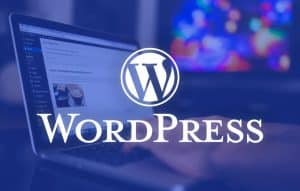 Key WordPress Statistics