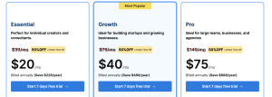 Scalenut Pricing