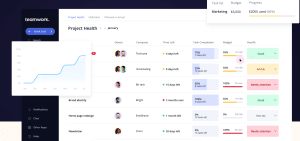 Teamwork Project Management Platform