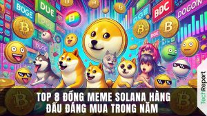 Top 8 Đồng Meme Solana hàng đầu đáng mua trong năm