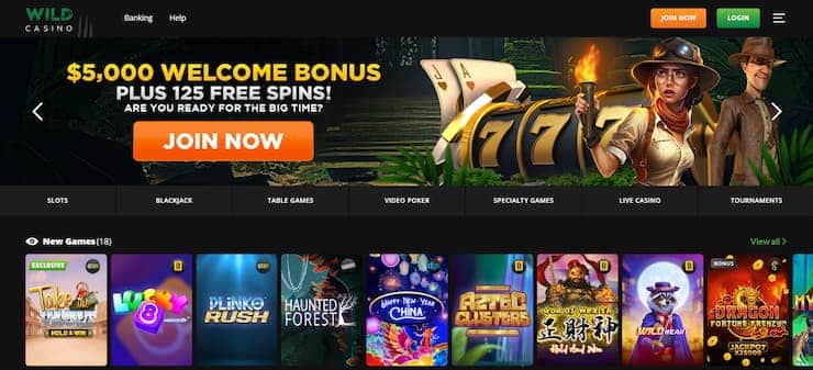 Wild Casino start page