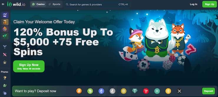 Wild.io casino allows for VPN gambling